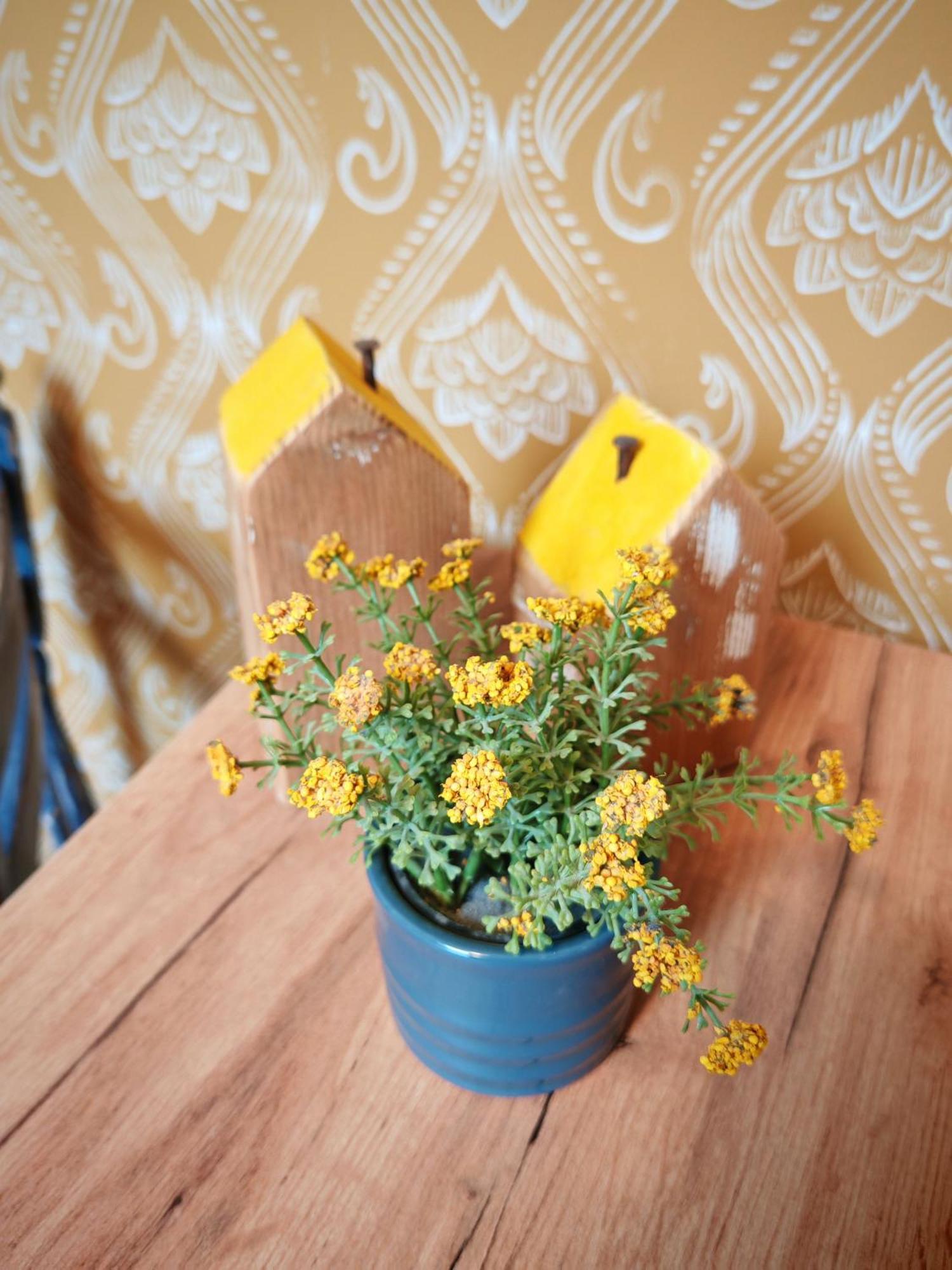 Guest House Relic Sombor Esterno foto
